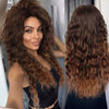 26inch Long Wavy Natural Looking Curly Wig