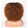 Short Afro Kinky Curly Wig