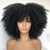 Short Afro Kinky Curly Wig