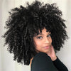 Short Afro Kinky Curly Wig